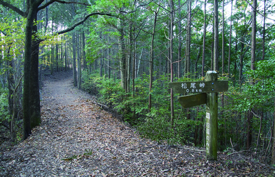 伊予遍路道（観自在寺道）の画像1