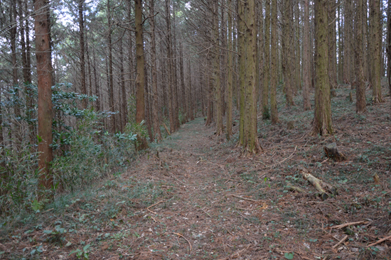 伊予遍路道（大寶寺道）の画像