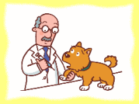 狂犬病予防注射と登録の画像