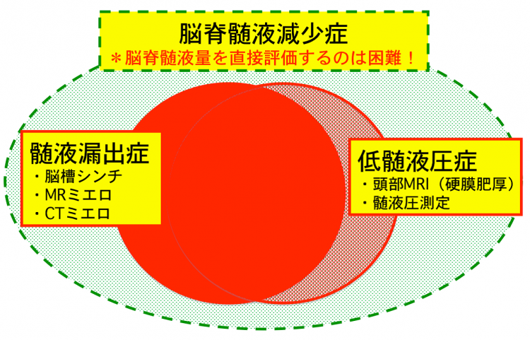 脳脊髄液減少症に関する県内の医療機関の画像