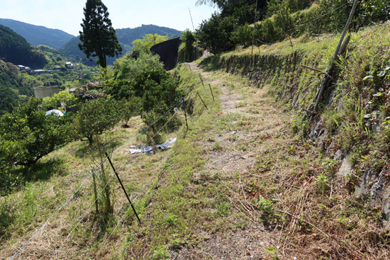 八幡浜街道（夜昼峠越）の画像2