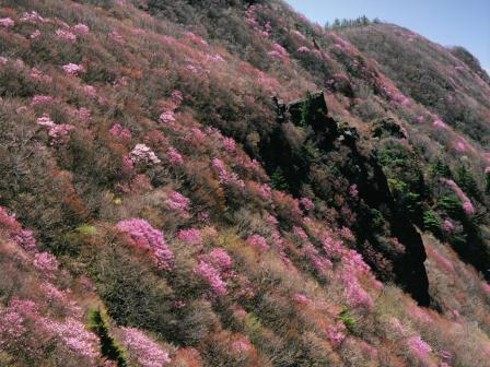 赤石山系県自然環境保全地域の画像