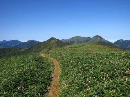笹ヶ峰自然環境保全地域の画像