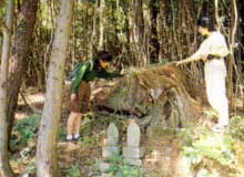 柳水の大師堂（柏坂休憩所）