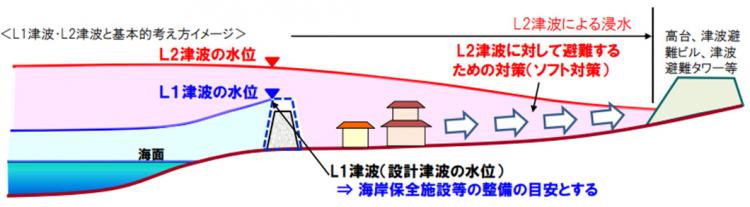 設計津波水位