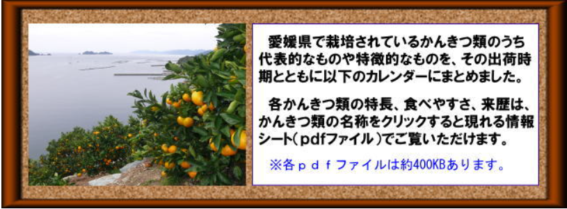 愛媛県で栽培されているかんきつ類のうち代表的なものや特徴的なものを、その出荷時期とともに以下のカレンダーにまとめました。各かんきつ類の特長、食べやすさ、来歴は、かんきつ類の名称をクリックすると現れる情報シート（pdfファイル）でご覧いただけます。各PDFファイルは約400キロバイトあります。