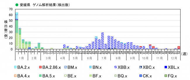 ゲノム解析結果（検出数）