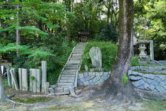 伊予岡古墳の画像3