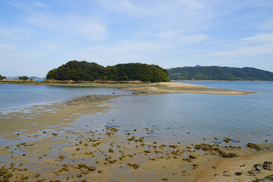 甘崎城跡の画像2