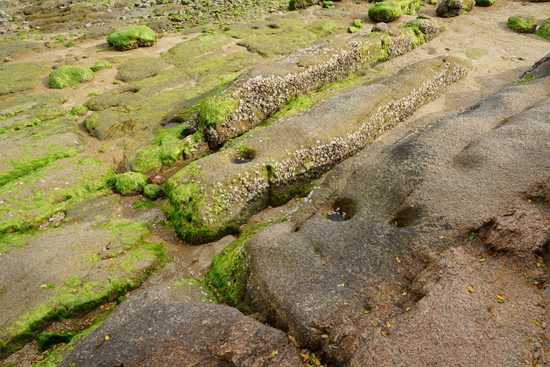 甘崎城跡の画像4