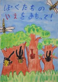 R6小学校銀１