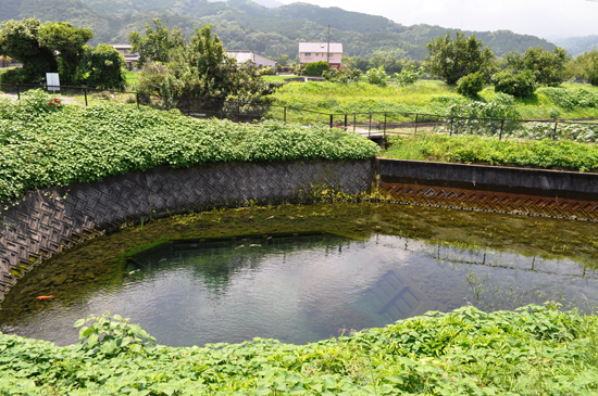 オキチモズク発生地の画像