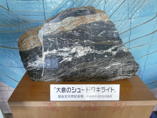 八幡浜市大島のシュードタキライト及び変成岩類の画像2