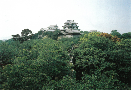 松山城山樹叢の画像