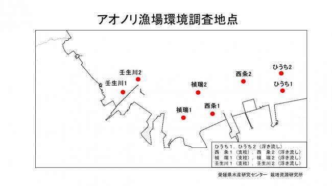 アオノリ