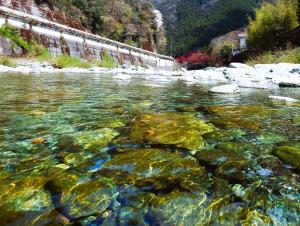 西条市を流れる清流「加茂川」