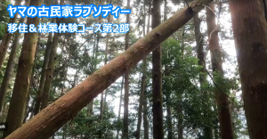 林業体験プログラムの様子の画像