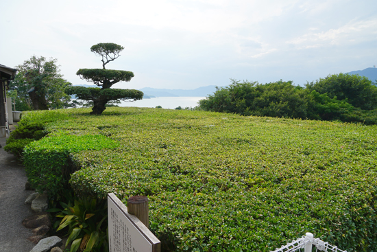 舟形ウバメガシの画像