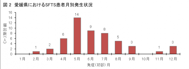 発生時期
