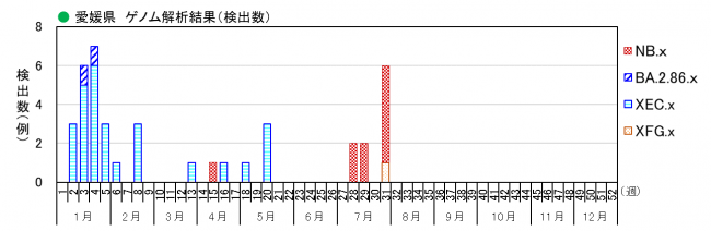 ゲノム解析結果（検出数）