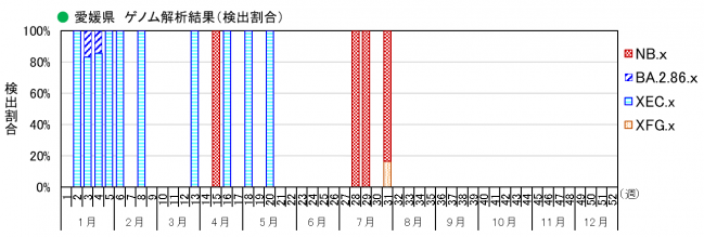 ゲノム解析結果（割合）