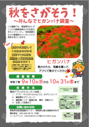 調査概要ポスター