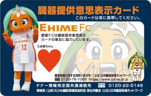 tamahimeF