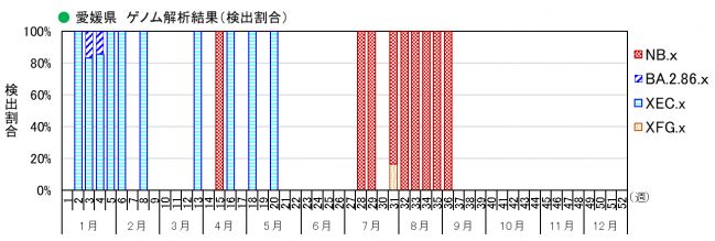 ゲノム解析結果（割合）