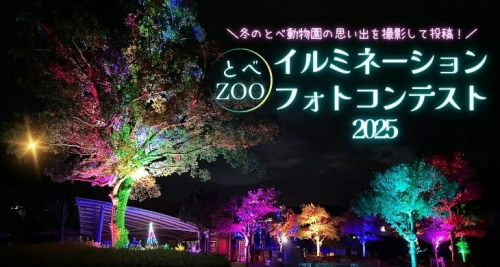 イルミネーション