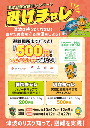 逃げチャレチラシ表