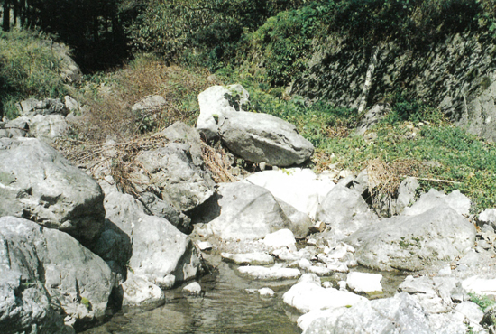 ゴトランド紀石灰岩の画像