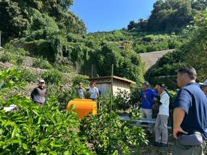 ヒリュウ台の苗木管理研修の様子の写真