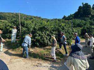 秋せん定について実演研修している様子の写真