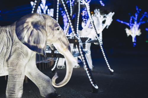 イルミネーション