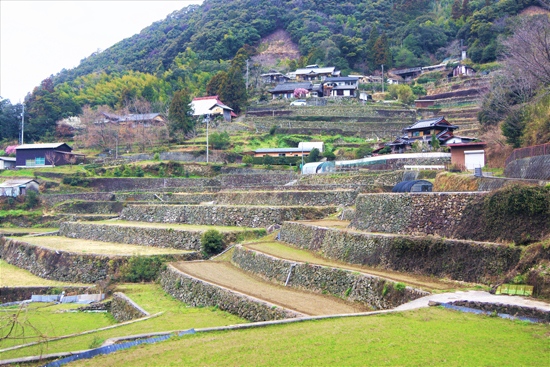 奥内の棚田及び農山村景観の画像