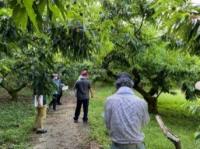 園地の審査状況