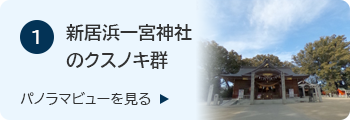 1新居浜一宮神社のクスノキ群のバナー