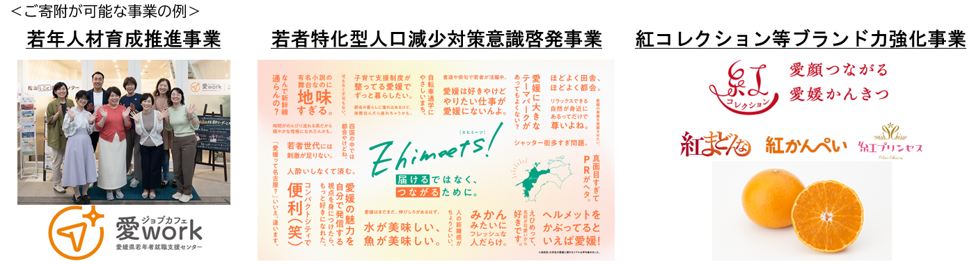 (1)ご寄附が可能な事業の例