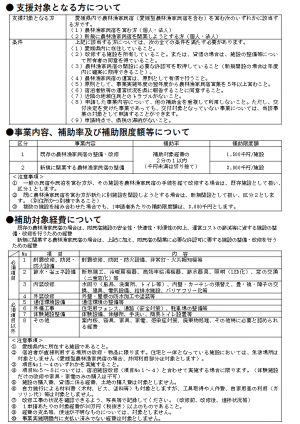 農林漁家民宿施設等整備支援事業　チラシ