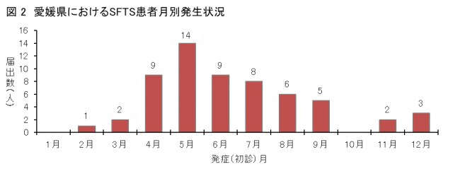 発生時期