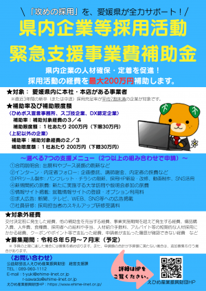 県内企業等採用活動緊急支援事業費補助金　チラシ
