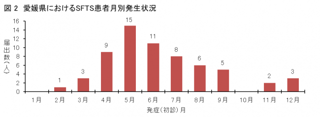 発生時期