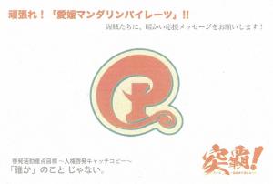 愛媛マンダリンパイレーツフラッグ画像