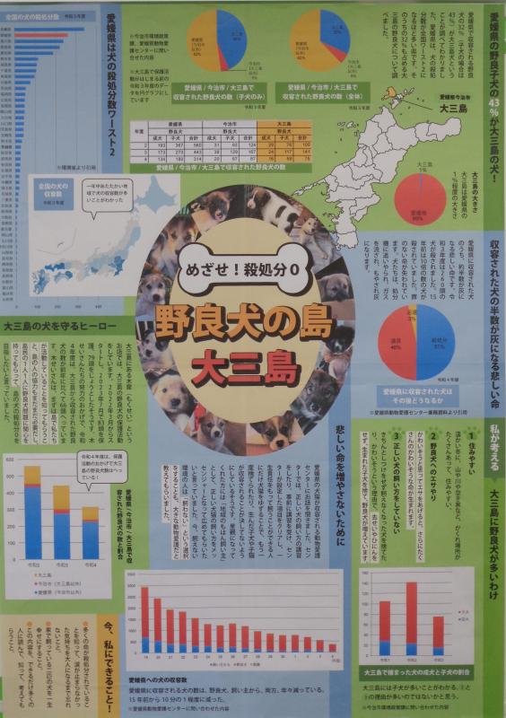 R5P部（教育長）めざせ殺処分0野良犬の島