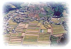 空から見た田園風景