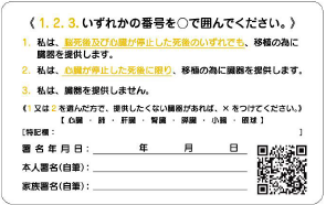 たま媛裏修正