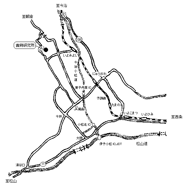 道路地図