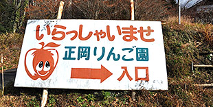 image:Masaoka Tourist Apple Orchard