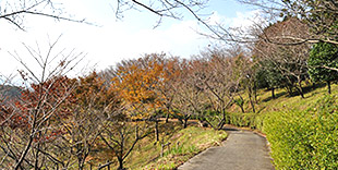 image:Shiogamori Furusato Park