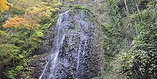 image:Shirai-no-Taki (White-Boar Falls)